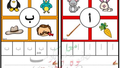 thumbnail of تاسيس ملزمة الحروف كاملة روعة