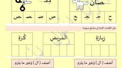 thumbnail of لغة عربية اوراق عمل التنوين واللام الشمسية والقمرية