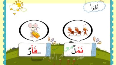 thumbnail of لغة عربية تاسيس تدريبات قرائية على المقطع الساكن للكلمة رائعة
