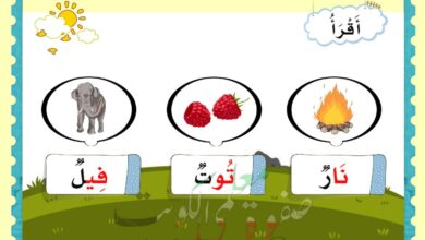 thumbnail of لغة عربية تاسيس تدريبات و اوراق عمل على المد