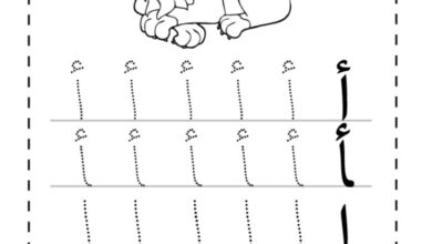 thumbnail of لغة عربية تاسيس مذكرة الحروف الابجدية منقطة كاملة