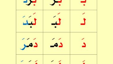 thumbnail of لغة عربية تعلم القراءة تدريبات لتعلم القراءة بالتهجئة