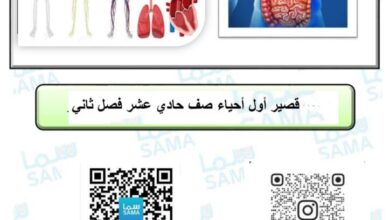 thumbnail of احياء اسئلة قصير اول للصف الحادي عشر الفصل االثاني