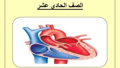 thumbnail of احياء اوراق عمل شاملة للصف الحادي عشر الفصل الثاني