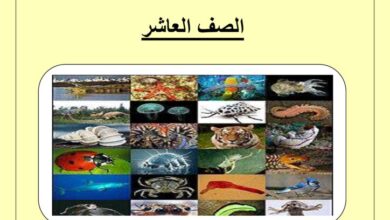 thumbnail of احياء اوراق عمل متنوعة للصف العاشر الفصل الثاني