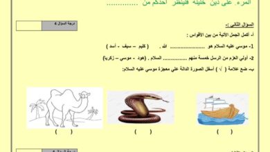 thumbnail of اسلامية الاختبار التجريبي (1) للصف الثالث الفصل الثاني