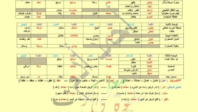 thumbnail of الثروة_اللغوية_لغة_عربية_الصف_الرابع_الفصل_الثاني_أحمد_آدم_watermark_compressed