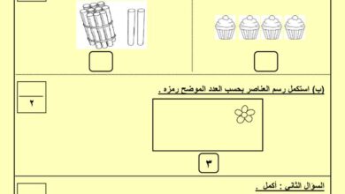 thumbnail of رياضيات اختبار تجريبي نموذج (1) للصف الاول الفصل الثاني