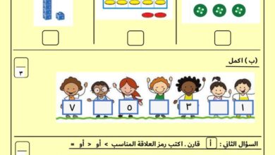 thumbnail of رياضيات اختبار تجريبي نموذج (2) للصف الاول الفصل الثاني