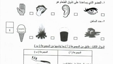 thumbnail of علوم اختبار تجريبي للصف الاول الفصل الدراسي الثاني