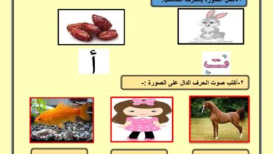thumbnail of لغة عربية الاختبار التحصيلي الاول للصف الاول الفصل الثاني