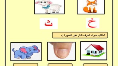 thumbnail of لغة عربية الاختبار التحصيلي الاول نموذج (2) للصف الاول الفصل الثاني