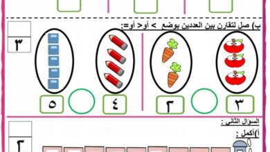 thumbnail of لغة عربية الاختبار التحصيلي الاول + نموذج الاجابة للصف الاول الفصل الثاني