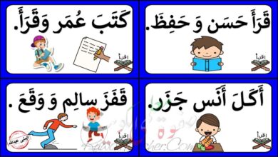 thumbnail of لغة عربية تدريبات على قراءة الجمل للصف الاول الفصل الثاني
