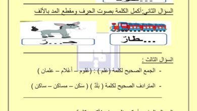 thumbnail of لغة عربية اختبار تجريبي مدرسة التميز للصف الاول الفصل الثاني