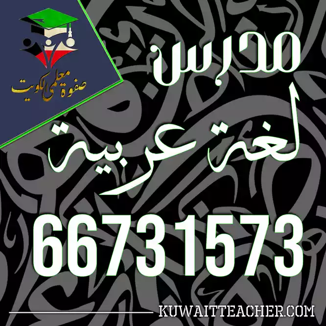 مدرس لغة عربية لجميع المراحل التعليمية و الجامعات والمعاهد التعليمية