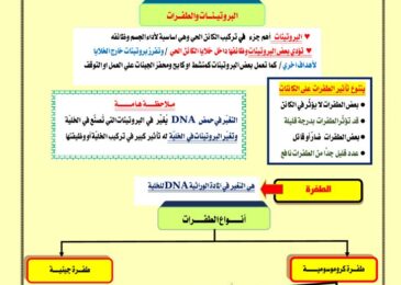 thumbnail of احياء تمارين محلولة على الطفرات و السرطان للصف الثاني عشر الفصل الثاني