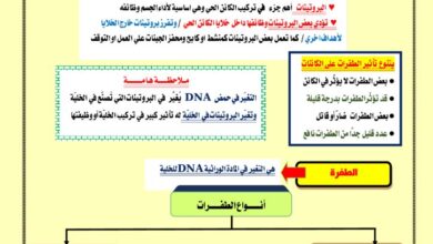 thumbnail of احياء تمارين محلولة على الطفرات و السرطان للصف الثاني عشر الفصل الثاني