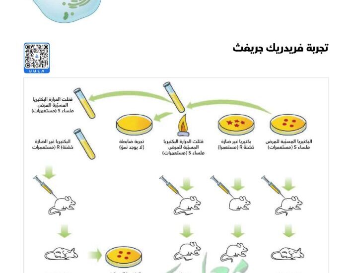thumbnail of ملخص رسومات الاحياء للصف الثاني عشر الفصل الثاني