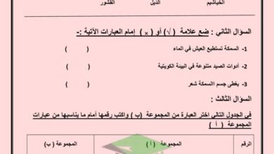 thumbnail of اختبار علوم مدرسة التميز [محلول] للصف الثامن الفصل الدراسي الاول