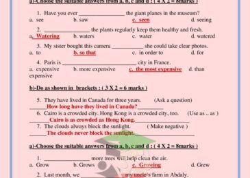 thumbnail of انجليزي اوراق عمل محلولة على القواعد [grammar] للصف الثامن الفصل الاول