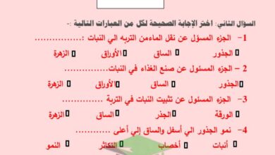 thumbnail of علوم اوراق عمل روعة للصف الرابع الفصل الدراسي الاول