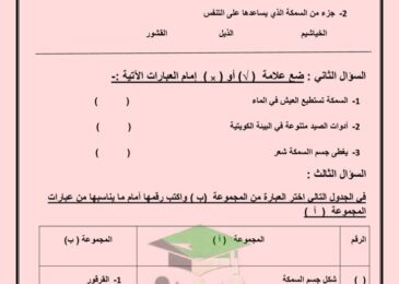 thumbnail of علوم اوراق عمل مدرسة التميز للصف الثالث الفصل الدراسي الاول