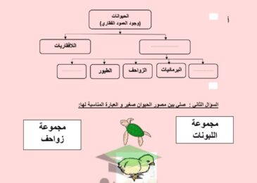 thumbnail of علوم ورقة عمل الحيوانات للصف الرابع الفصل الدراسي الاول