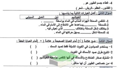 thumbnail of علوم ورقة عمل مدرسة الرفعة النموذجية [غير محلولة] للصف الثالث الفصل الاول