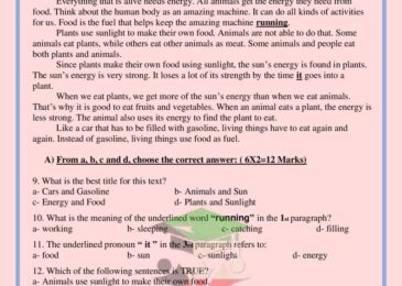 thumbnail of لغة انجليزية اوراق عمل على قطعة الاستيعاب للصف السابع الفصل الاول
