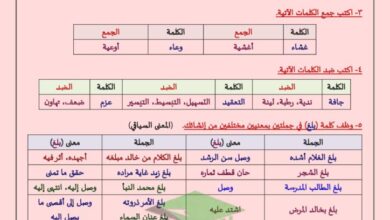 thumbnail of لغة عربية الثروة اللغوية كاملة ا. وجية للصف الثامن الفصل الاول