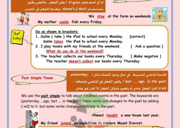 thumbnail of مذكرة قواعد اللغة الانجليزية وتدريبات عليها للصف التاسع الفصل الاول