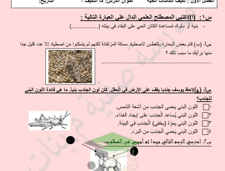 thumbnail of بنك اسئلة العلوم مدرسة صفية للصف السادس الفصل الاول