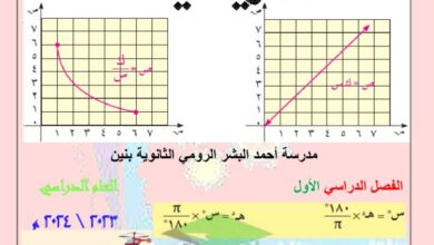 thumbnail of رياضيات اوراق عمل شاملة مدرسة احمد البشر الرومي للصف العاشر الفصل الاول