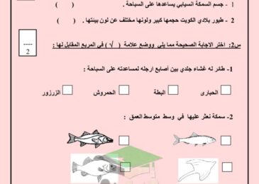 thumbnail of علوم اوراق عمل وتدريبات رائعة للصف الثالث الفصل الدراسي الاول