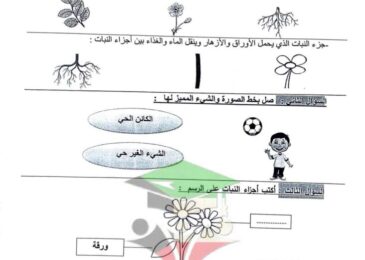 thumbnail of علوم ورقة عمل مدرسة الرفعة النموذجية للصف الثاني الفصل الدراسي الاول