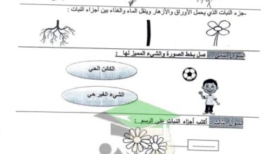 thumbnail of علوم ورقة عمل مدرسة الرفعة النموذجية للصف الثاني الفصل الدراسي الاول