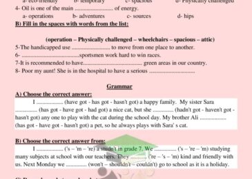 thumbnail of لغة انجليزية مراجعة شاملة للصف السابع الفصل الاول