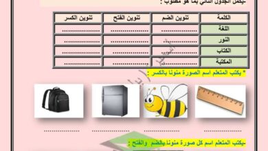 thumbnail of لغة عربية ورقة عمل التنوين و انواعة للصف الثاني الفصل الاول