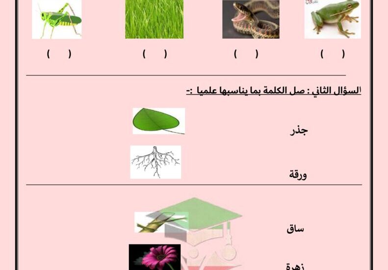 thumbnail of علوم اختبار تجريبي مدرسة التميز للصف الثاني الفصل الاول