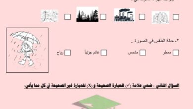 thumbnail of علوم اختبار تجريبي مدرسة بحرة للصف الثالث الفصل الاول