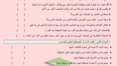 thumbnail of علوم اوراق عمل الاختبار القصير الاول للصف الرابع الفصل الثاني