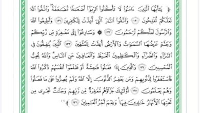 thumbnail of لغة عربية مذكرة آيات من سورة آل عمران للصف الثاني عشر الفصل الثاني
