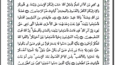 thumbnail of لغة عربية مذكرة آيات من سورة الحجرات للصف الثاني عشر الفصل الثاني