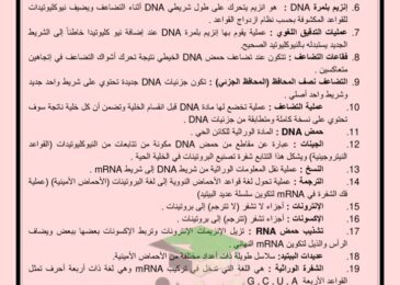 thumbnail of مراجعة احياء اهم التعاليل والتعاريف للصف الثاني عشر الفصل الدراسي الثاني
