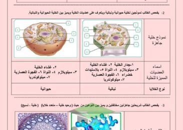 thumbnail of علوم التجارب العملية للصف السادس الفصل الدراسي الثاني