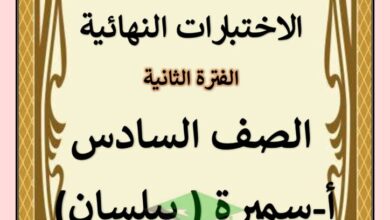 thumbnail of لغة عربية مذكرة الاختبارات النهائية للصف السادس الفصل الثاني