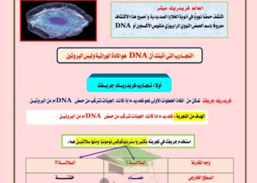 thumbnail of احياء مذكرة كاملة روعة للصف الثاني عشر الفصل الدراسي الثاني