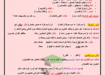 thumbnail of لغة عربية ملخص النحو في ورقتين للصف الحادي عشر الفصل الدراسي الثاني