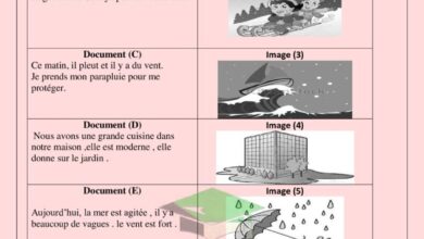 thumbnail of لغة فرنسية بنك الاسئلة للصف الحادي عشر الفصل الدراسي الثاني